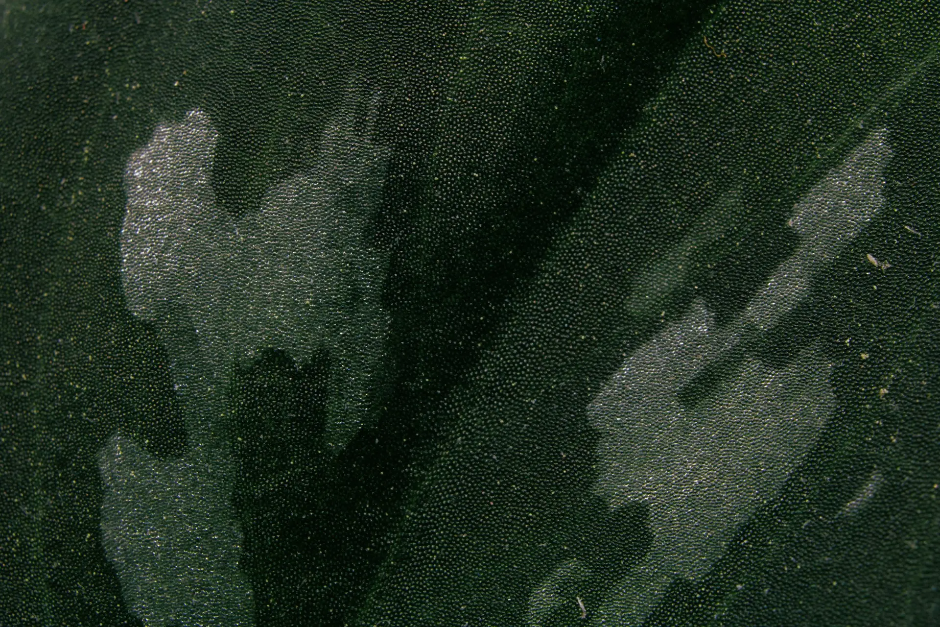 black and gray camouflage textile